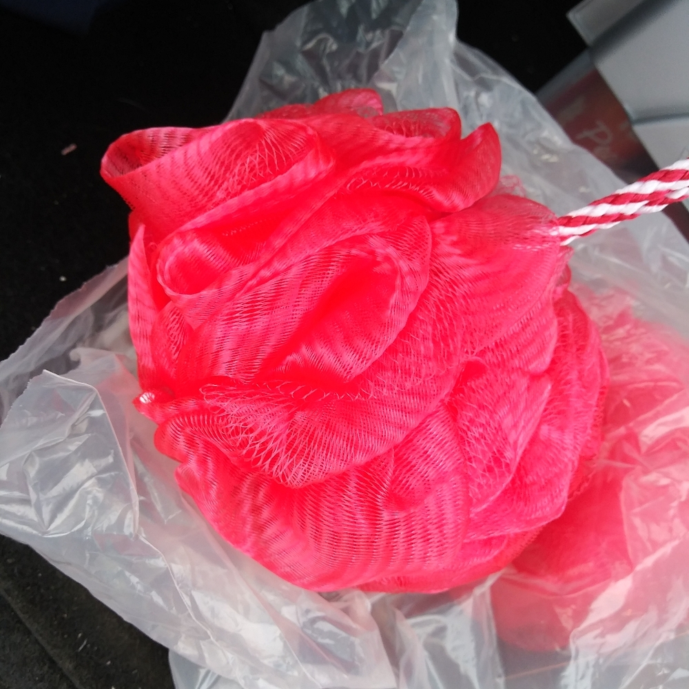 Loofah - Picture 3 of 3